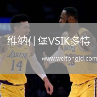 維納什堡VSIK多特