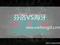 芬洛VS海牙