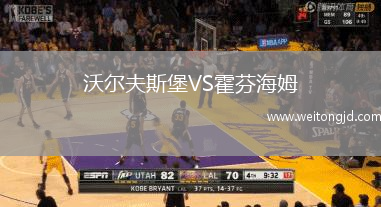 沃爾夫斯堡VS霍芬海姆
