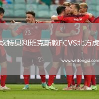 坎特貝利班克斯敦FCVS北方虎