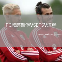FC威廉斯堡VSETSV漢堡