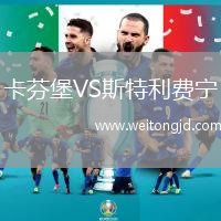 卡芬堡VS斯特利費寧