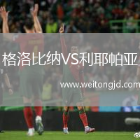 格洛比納VS利耶帕亞