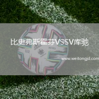 比史弗斯霍芬VSSV庫馳