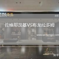佐維耶茨基VS布龍拉多姆
