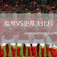 福琴VS史蒂夫比科