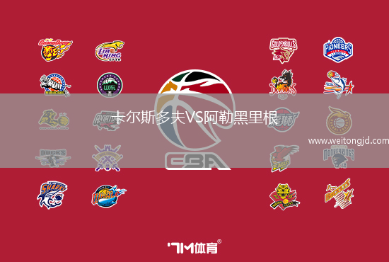 卡爾斯多夫VS阿勒黑里根
