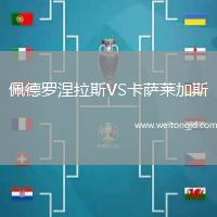 佩德羅涅拉斯VS卡薩萊加斯