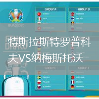 特斯拉斯特羅普科夫VS納梅斯托沃