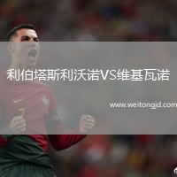 利伯塔斯利沃諾VS維基瓦諾