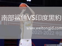 南部鯊魚VS印度黑豹