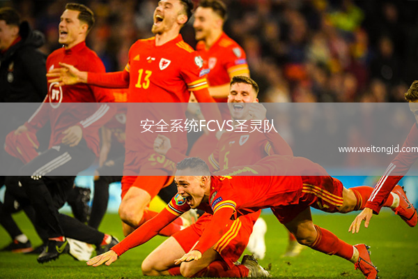 安全系統FCVS圣靈隊