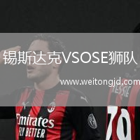 錫斯達(dá)克VSOSE獅隊(duì)
