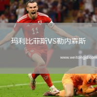 瑪利比菲斯VS勒內(nèi)森斯