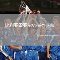 比利亞雷亞爾VS萊加內(nèi)斯