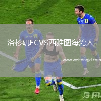 洛杉磯FCVS西雅圖海灣人