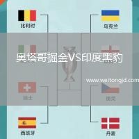 奧塔哥掘金VS印度黑豹