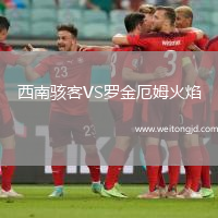 西南駭客VS羅金厄姆火焰