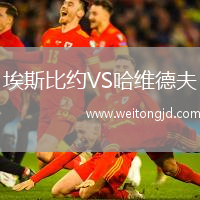 埃斯比約VS哈維德夫
