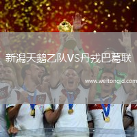 新潟天鵝乙隊VS丹戎巴葛聯