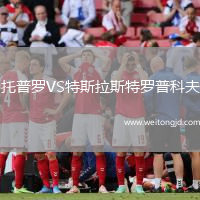托普羅VS特斯拉斯特羅普科夫