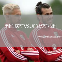 利伯塔斯VSUEB格斯特科