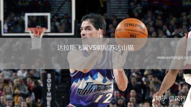 達(dá)拉斯飛翼VS明尼蘇達(dá)山貓