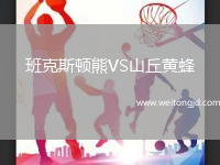 班克斯頓熊VS山丘黃蜂