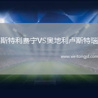 斯特利費寧VS奧地利盧斯特瑙