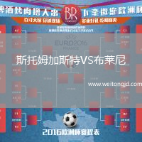 斯托姆加斯特VS布萊尼