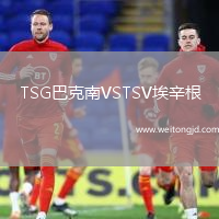 TSG巴克南VSTSV埃辛根