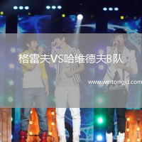 格雷夫VS哈維德夫B隊