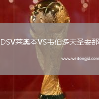 DSV萊奧本VS韋伯多夫圣安那