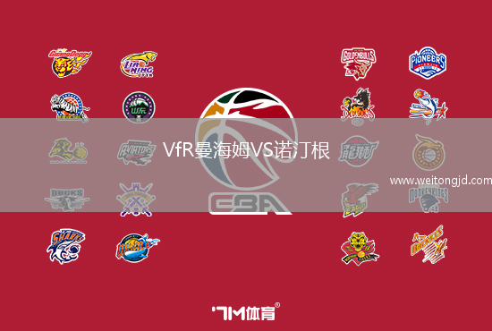 VfR曼海姆VS諾汀根
