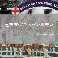 嘉德維克VSIR雷克雅未克