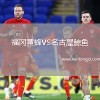 福岡黃蜂VS名古屋鯨魚