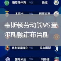 韋斯頓勞動熊VS查爾斯頓市布魯斯