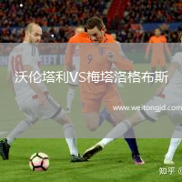 沃倫塔利VS梅塔洛格布斯