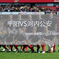 平陽VS河內公安