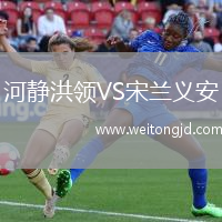 河靜洪領VS宋蘭義安
