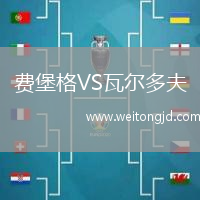 費堡格VS瓦爾多夫