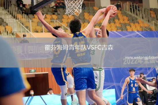 霍芬海姆青年隊VSFC吉森