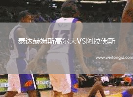泰達赫姆斯高爾夫VS阿拉佛斯