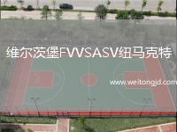 維爾茨堡FVVSASV紐馬克特