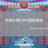 亨費爾德SVVS圖斯霍諾