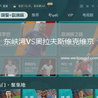 東峽灣VS奧拉夫斯維克維京