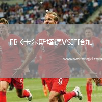 FBK卡爾斯塔德VSIF哈加