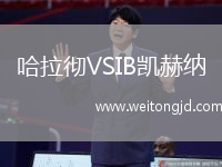 哈拉徹VSIB凱赫納