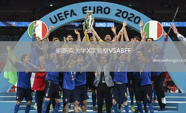 明斯克大學X實驗室VSABFF(U19)