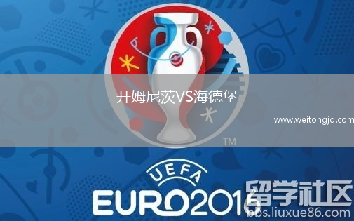 開姆尼茨VS海德堡